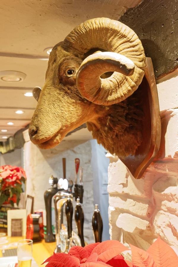 Rams Head Inn Dolton Dış mekan fotoğraf